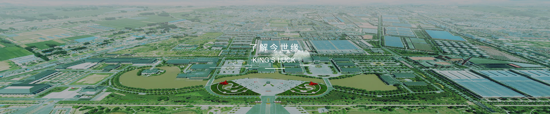 企業概況